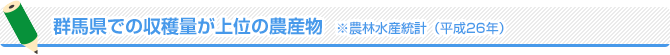 群馬県での収穫量が上位の農産物　※農林水産統計（平成26年）