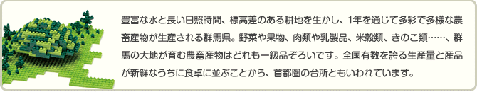 豊富な水と長い日照時間、標高差のある耕地を生かし、1年を通じて多彩で多様な農畜産物が生産される群馬県。野菜や果物、肉類や乳製品、米穀類、きのこ類……、群馬の大地が育む農畜産物はどれも一級品ぞろいです。全国有数を誇る生産量と産品が新鮮なうちに食卓に並ぶことから、首都圏の台所ともいわれています。